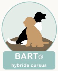 BART hybride cursus
