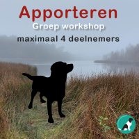 Icon apporteren