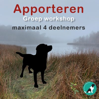 Icon apporteren